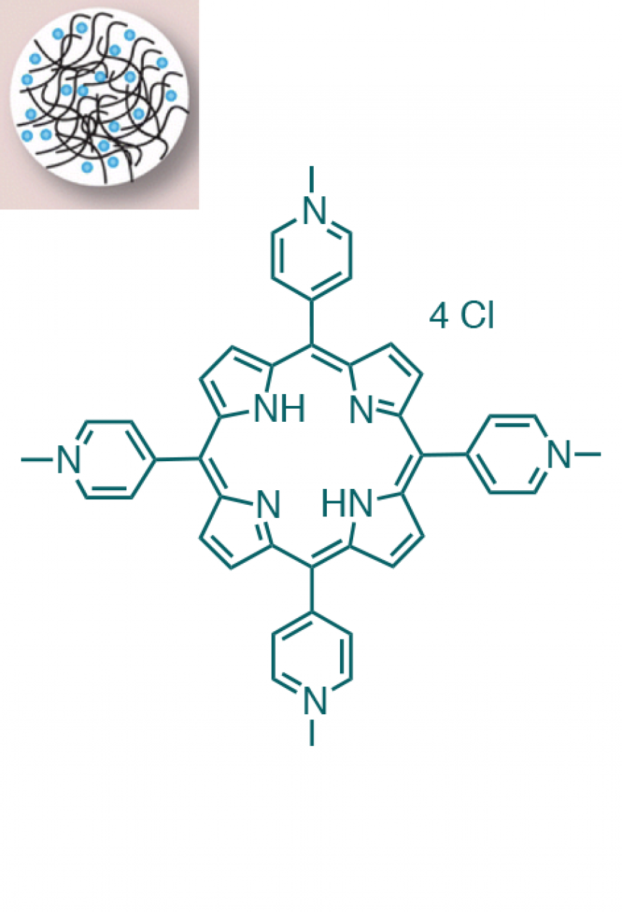 Nano Chitosan / 5,10,15,20-(Tetra-N-methyl-4-pyridyl)porphyrin tetrachloride  | Porphychem Expert porphyrin synthesis for research & industry