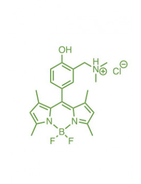 1,3,5,7-tetramethyl-8-(3-(N,N-dimethylaminomethyl)-4-hydroxyphenyl)BODIPY chloride